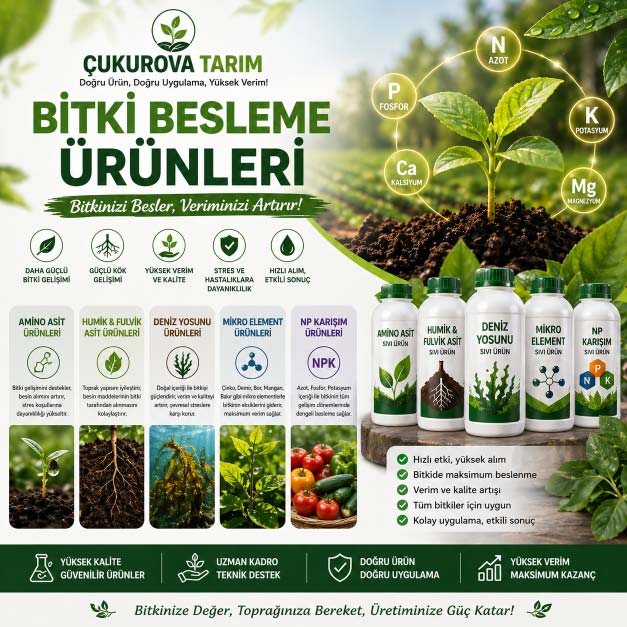 Bitki Besleme Ürünleri