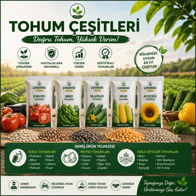 Tohum Çeşitleri