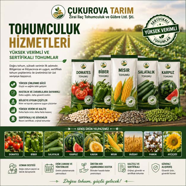 Tohumculuk Hizmetleri (Yüksek Verimli ve Sertifikalı To